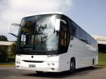 Volkswagen Comil Volksbus 18.320 Campione 3.65 2008 года